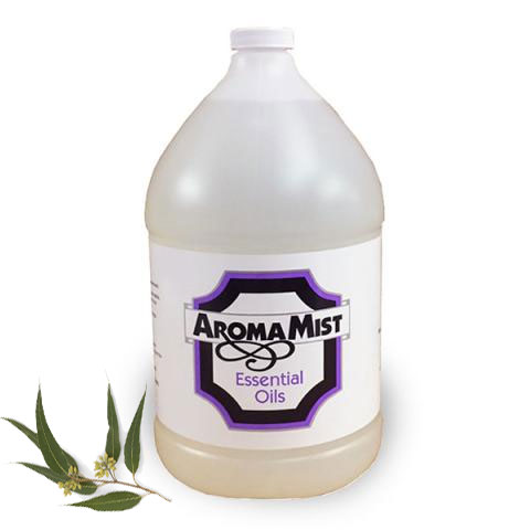 eucalyptus essential aroma oil