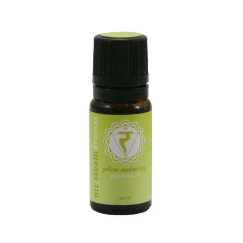 MrSteam_104006_Aromatherapy_4