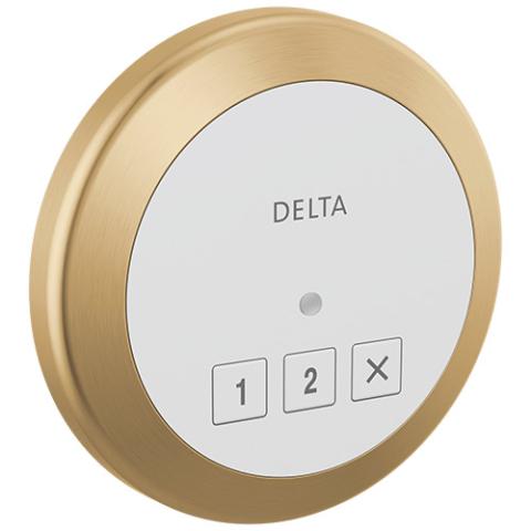 Delta 5CN-220R Control Champagne Bronze
