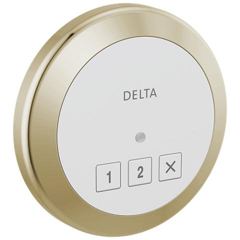 Delta 5CN-220R Control Polished Nickel