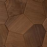 EmotionWalls Hexagon Thermo-Ash Decorative Wood Accent Panels (2)