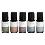 Mr Steam Essentials 5 Aromatherapy Oil Assortment